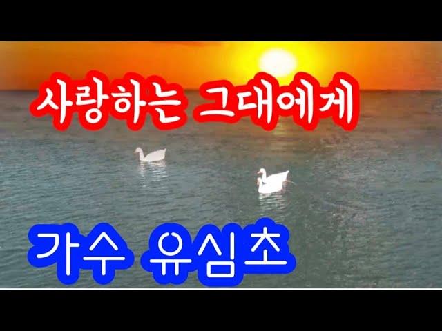 #연속듣기 가수 유심초사랑하는 그대에게 (가사첨부)