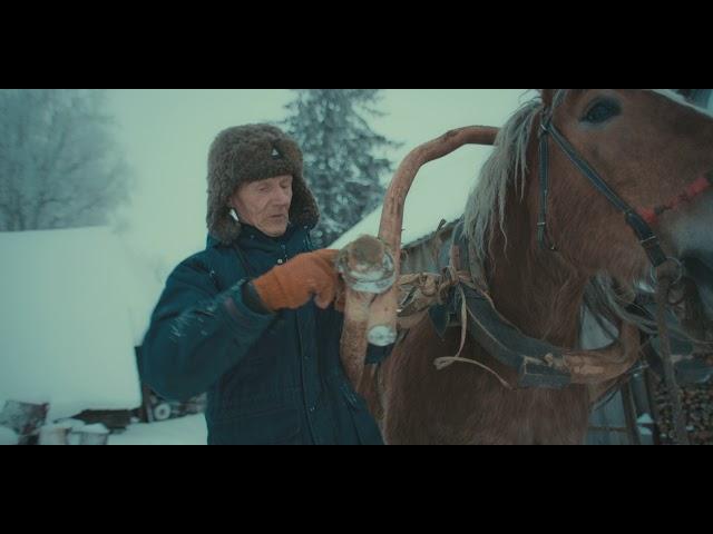 Grandfather. Part I. Winter - Horse Logging