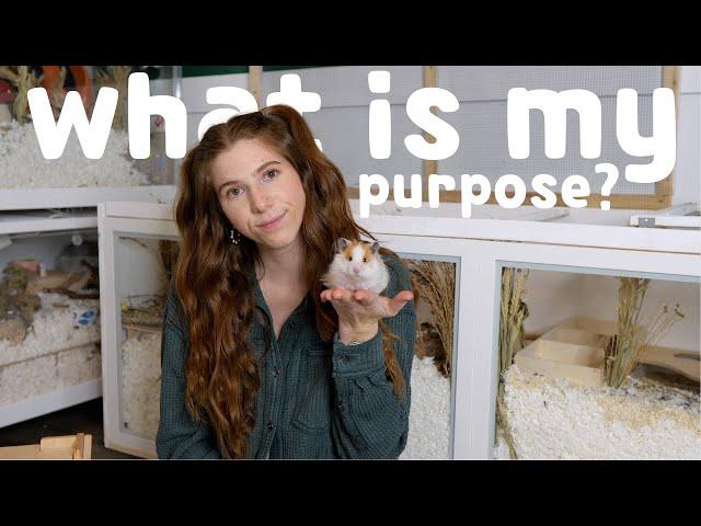 What is my purpose?