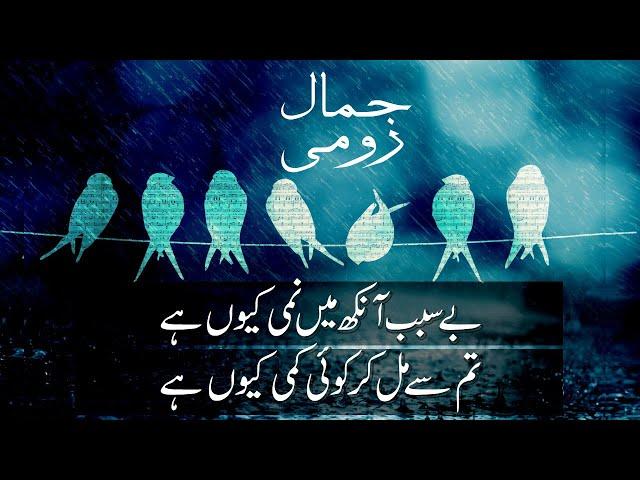 Besabab Aankh Mein Nami Kyun Hai - Jamal Roomi - Heart Touching Urdu Poetry - جمال رومی کی شاعری