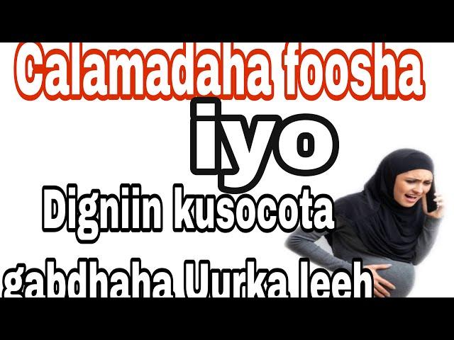 Digniin kusocota gabdhaha Uurka leeh iskajiir ariintan