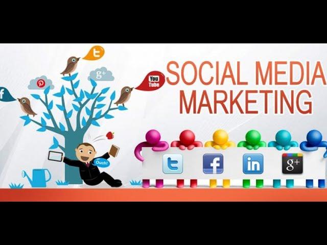 Social media Marketing Courses | Social Media Marketing for Beginners | Social Media Marketing