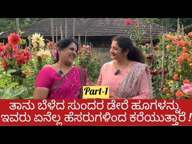 ಡೇರೆ ಹೂವು ,Dahlia Garden ॥Kannada Vlog ॥Kannada Vlogs With Pratibha