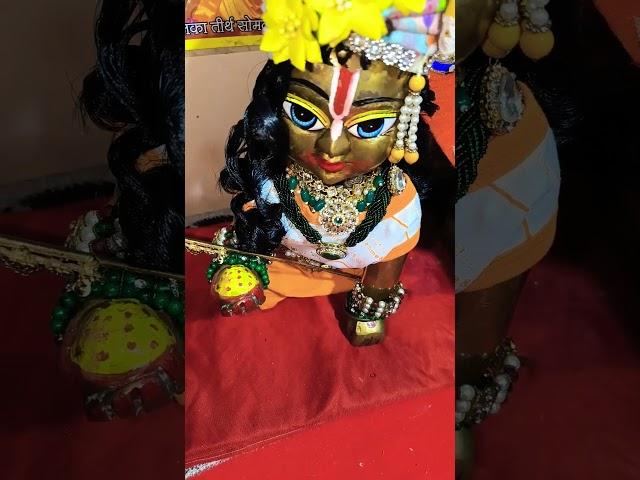 Laddu Gopal  #laddu #love #tranding #shyam