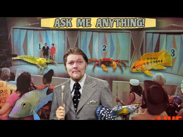 Aqarium Support Friday: ASK ME ANYTHING! • LIVE Chat.