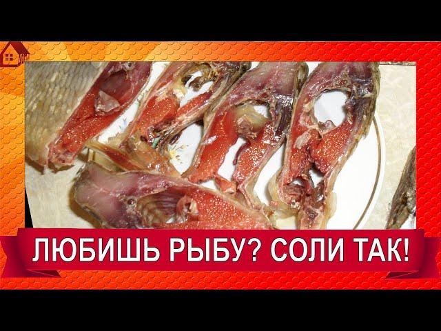 Зять делится - РЕЦЕПТ ЗАСОЛКИ РЫБЫ/ Как засолить крупного Леща? Солите рыбу так и удивляйте друзей!