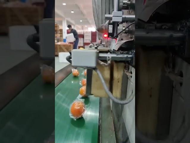 See How Oranges Are Effortlessly Wrapped #packagingindustry #packaging #manufacturing #autumation