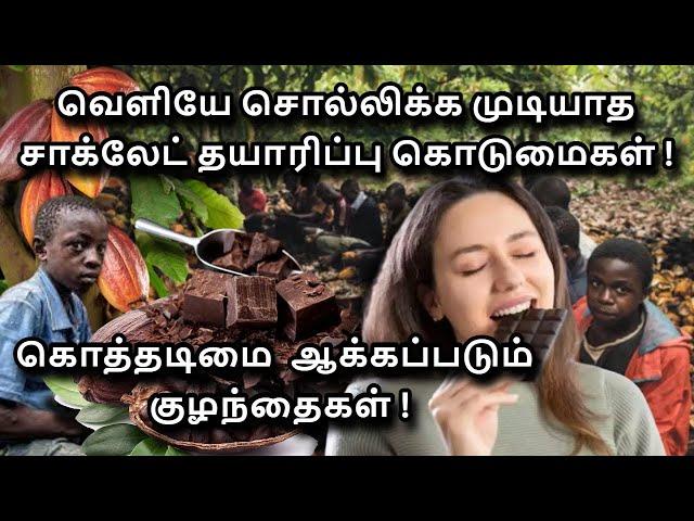 The Dark Side of the Chocolate Industry in Tamil | Why Chocolate companies are using Child Labour