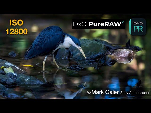 DxO Pure Raw - Deep Prime: Software review