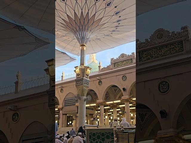 Wo mera nabi hai #brothers #reading #quran #masjid #madina #ramadan