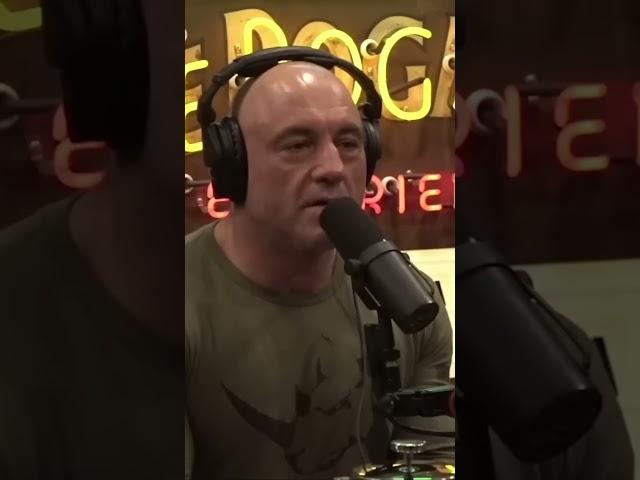 joe rogan vs  matt walsh on gay marriage