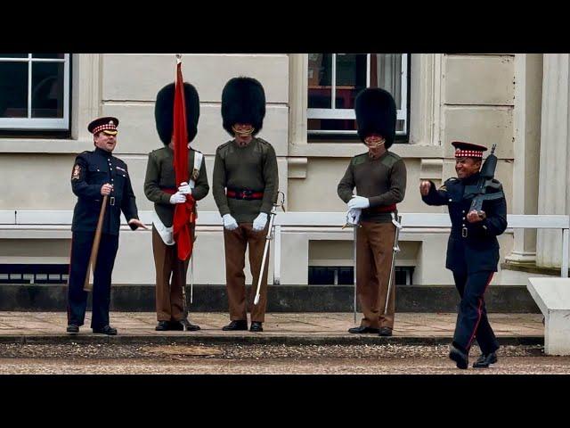 HEART-MELTING MOMENT: ALL GUARDS BURST INTO LAUGHTER! ️