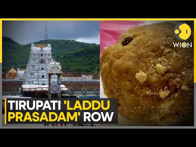 Tirupati Laddu Row: Report Finds Adulteration in Sample, Doesn't Confirm Animal Fat | WION News