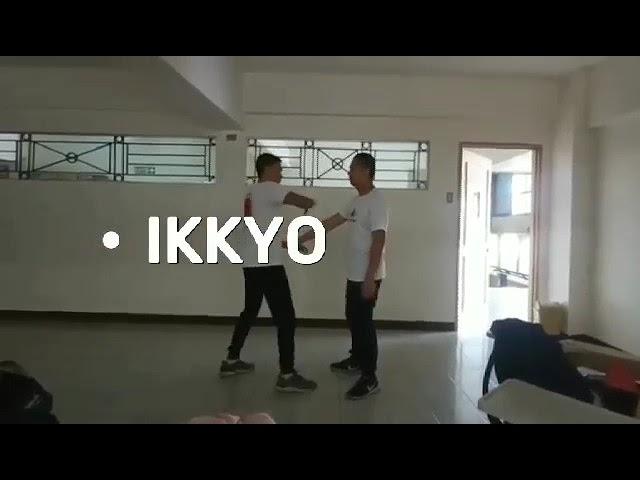 Combat aikido performance