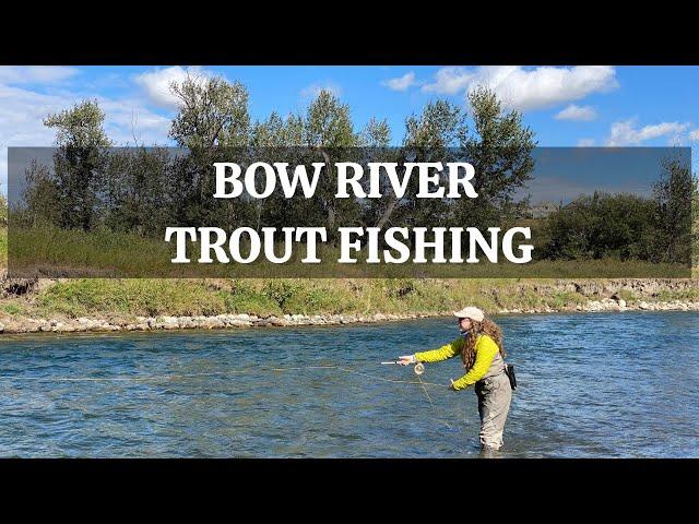 Incredible Bow River Trout Fishing