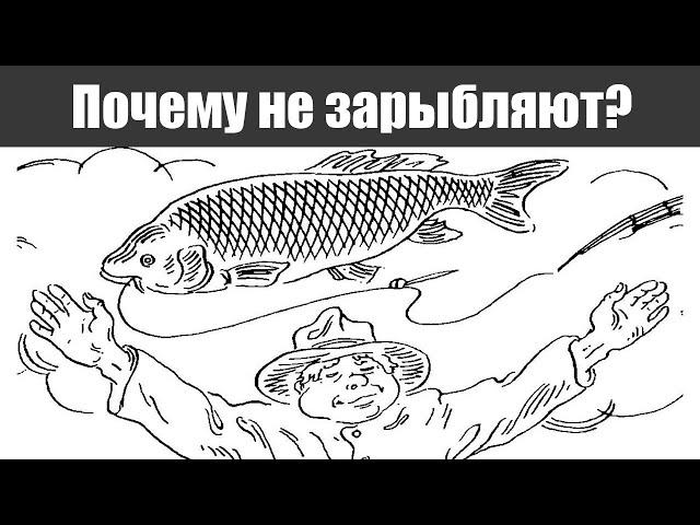 Что произошло? Почему сейчас водоемы перестали зарыблять, как это делали раньше..