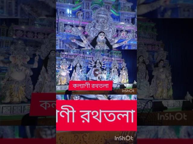 Kalyani pujas #shorts #short #shortsviral #shortvideo #viralvideos #viralvideo #durgapuja #video