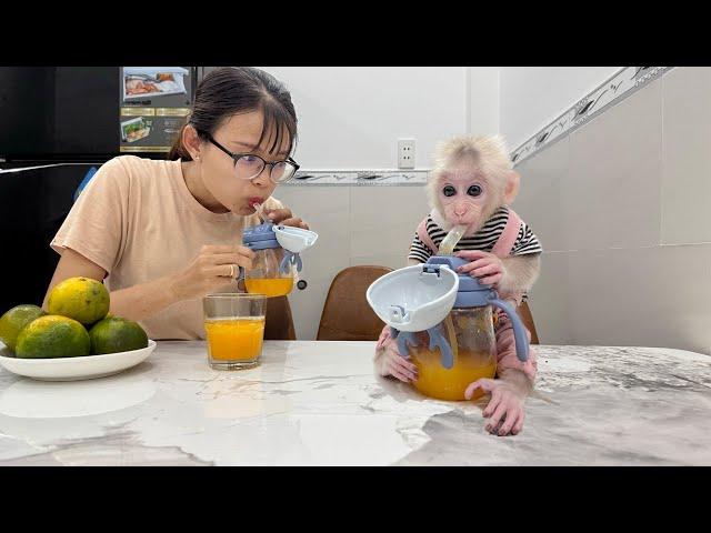 Lucky's First Time Drinking Orange Juice! Loving Mom Teaches Step By Step