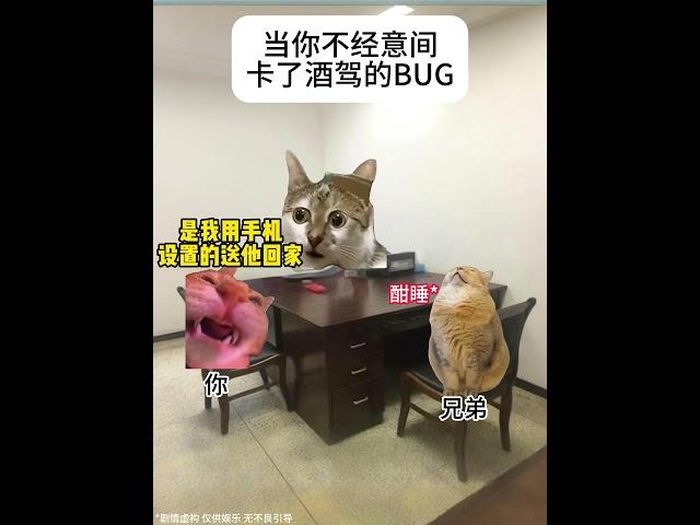 当你不经意间卡了酒驾的BUG #猫meme #猫meme小剧场 #酒驾 #BUG #万万没想到  #猫meme #搞笑 #喵哥是萌新  #meme #funny #人類迷惑行為