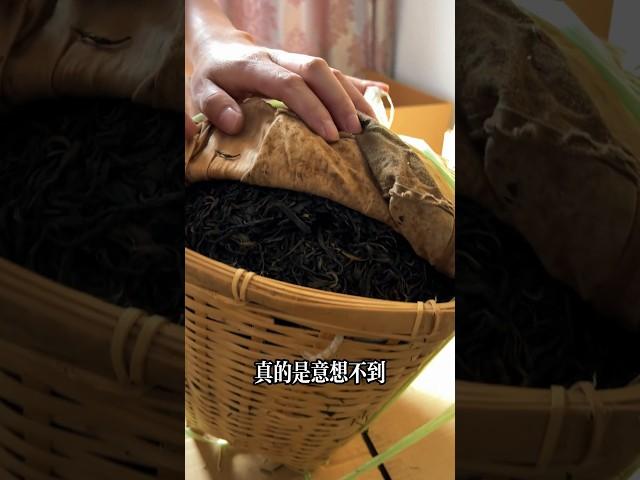 2010年彎弓古樹撿漏 #茶葉 #喝茶 #茶 #茶道