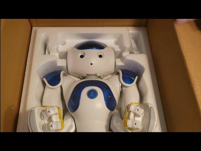  "Nao Robot Surprise: Ben's Dream Unboxed!" 