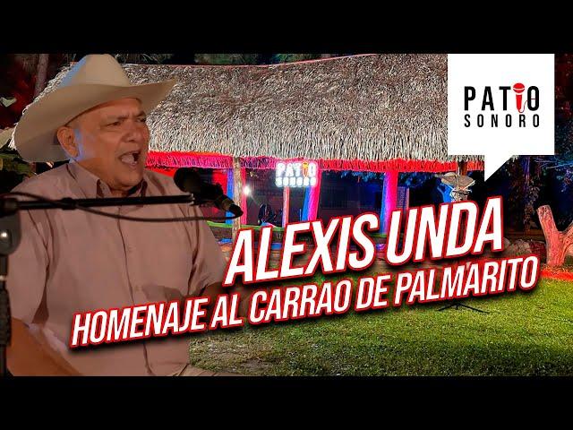 Tributo al Carrao de Palmarito / Alexis Unda