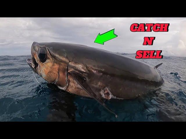 CATCH N' SELL || SPEARFISHING PHILIPPINES || DOGTOOTH TUNA || MEL SPEARFISHING TV!