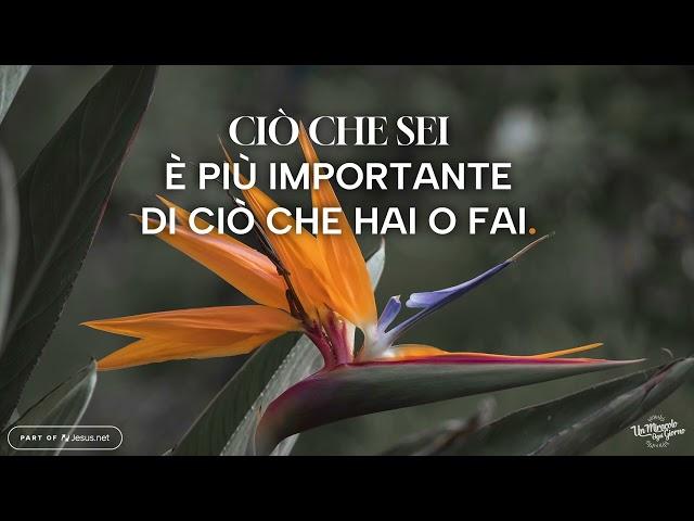 CIÒ CHE SEI È PIÙ IMPORTANTE DI QUEL CHE HAI O FAI! | Un miracolo ogni giorno.