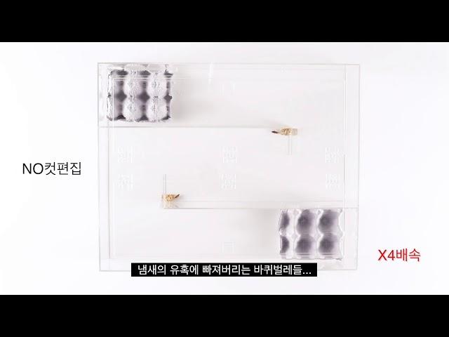 바퀴벌레약 페스트세븐 올인원 셀프방역  바퀴벌레박멸 퇴치법 맥스포스셀렉트겔 페스트세븐겔