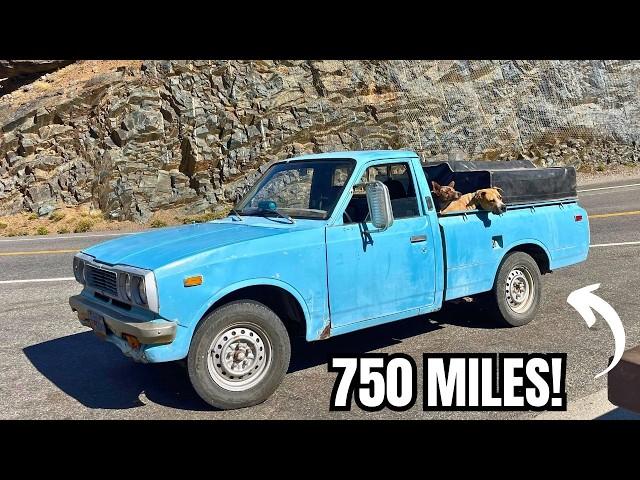 Will It Survive? - Road-Tripping A 51 YEAR OLD Toyota Hilux