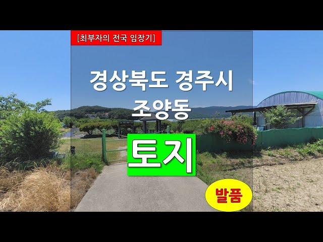 [최부자의 전국 임장기][발품] 경상북도 경주시 조양동 토지