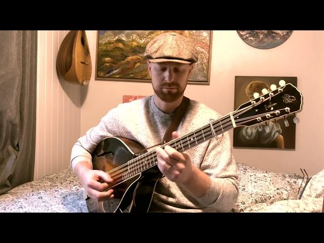 'Bracken Fern' - Celtic Mandocello Tune