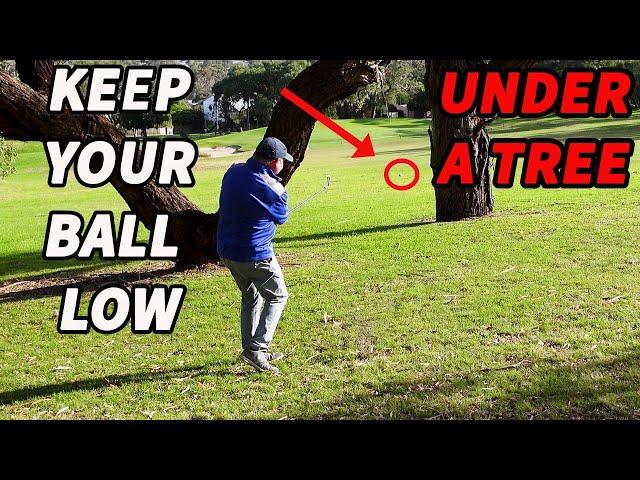 How To Hit A Golf Ball Low Under Trees