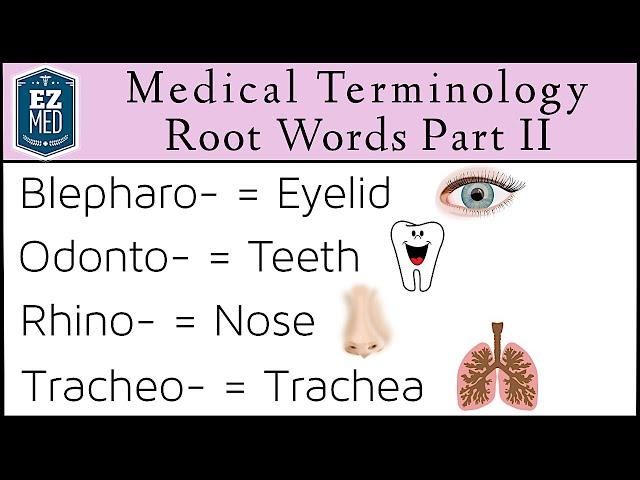 Medical Terminology MADE EASY: Root Words Part II [Nursing Flash Cards]