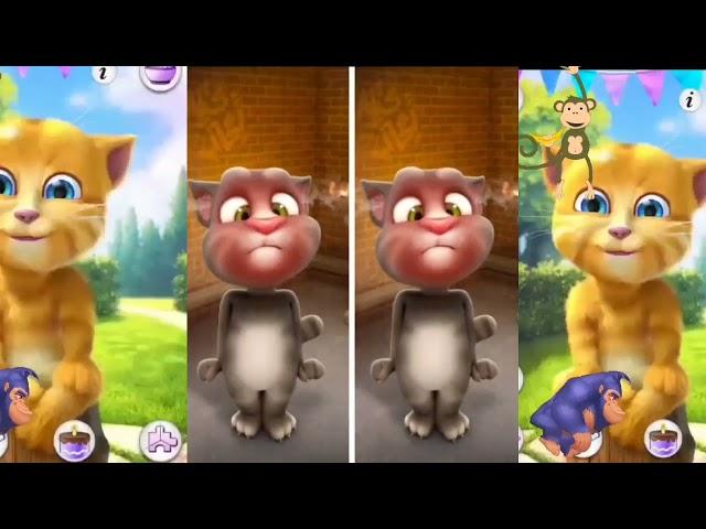 Talking Tom Funny Video Base Colour Movement