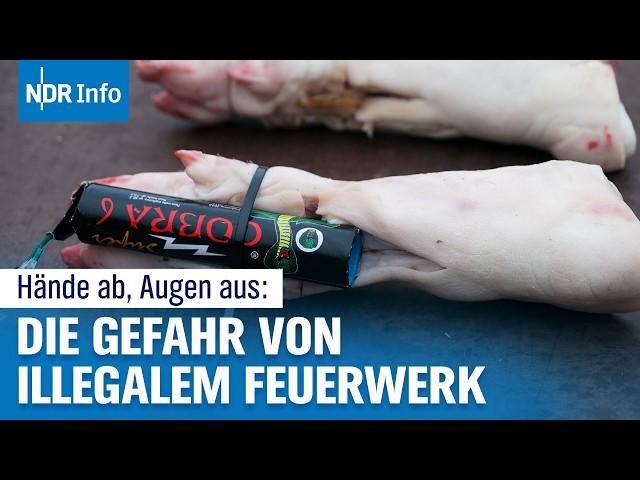 Feuerwerk-Albtraum zu Silvester: Warum illegale Böller so gefährlich sind | NDR Info