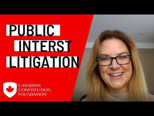 What is public interest litigation and why does it matter?