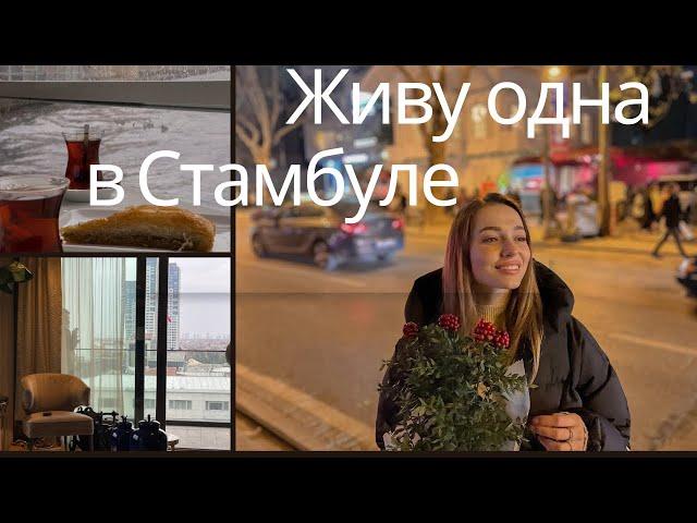 Первый день жизни в Стамбуле. Новая квартира, продукты.