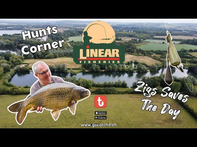 295 Linear Fisheries, Hunts Corner. Zigs SAVES The Day