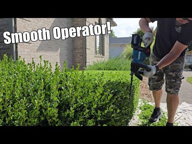 Makita GHU01Z: The Hedge Trimmer That Changed My Life