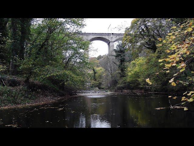 A Wander Along The Wannie And The Secret Camp