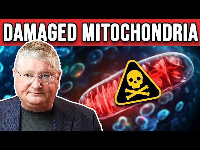 5 WARNING SIGNS Your Mitochondria Are Damaged