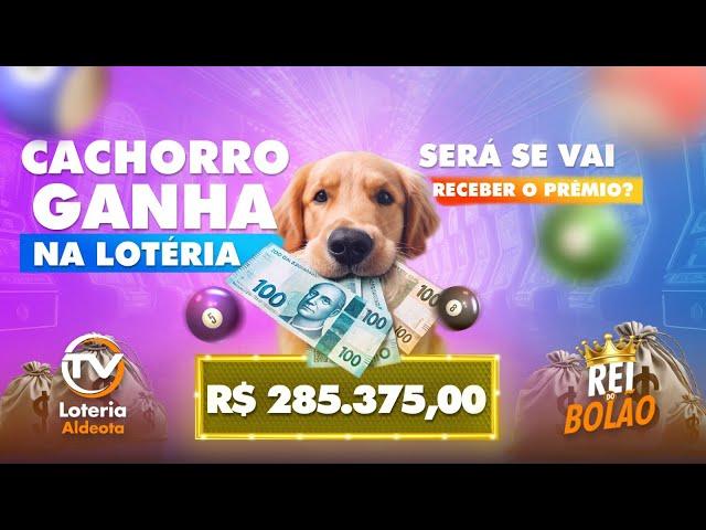 CACHORRO GANHA NA LOTERIA! VAI CONSEGUIR RECEBER O PRÊMIO?