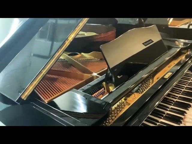 Atlantic Music Center | Yamaha G3 #122302