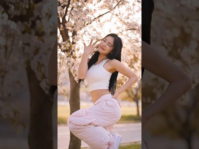 나도 벚꽃 봤어                               #李多慧 #magnetic #이다혜 #치어리더 #shots