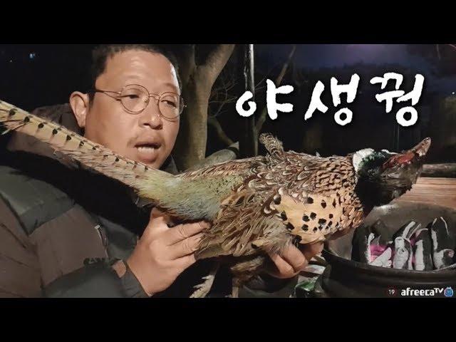 SUB) A Pheasant BBG(Grilled Pheasant Mukbang, korean food)