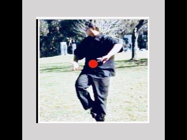 Variation and experiment with classic Yang style tai chi form