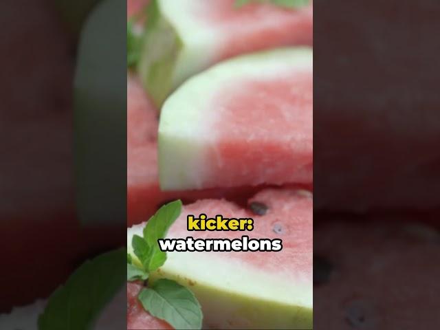 Watermelon Wonders Fun Facts Unveiled #watermelon