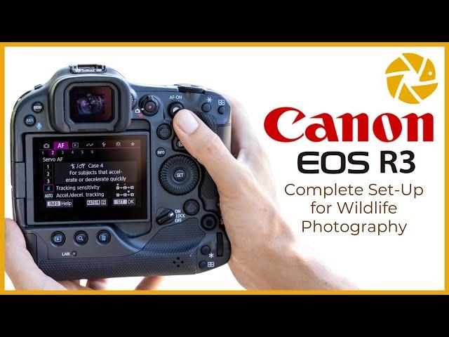 Canon R3 Settings For Wildlife Photography