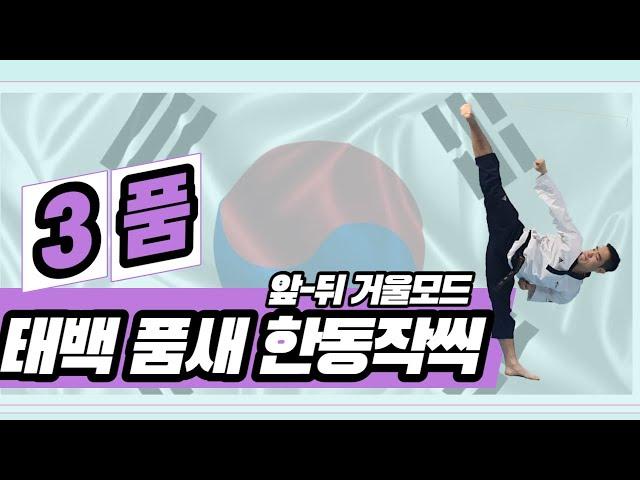 [3품][3단] [유품자품새][태백 아저씨] 태백 품새 앞뒤 거울모드 구령맞추어 배우자. #taekwondo #3품 #품새 #태백 #태백품새 #4품심사